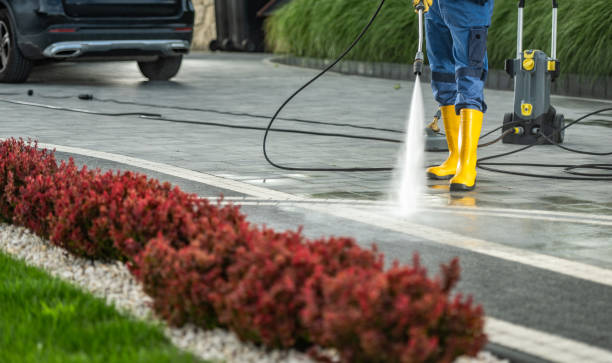 Best Sidewalk and Walkway Cleaning  in Redwood Valley, CA